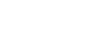 zevoinsectonline.it.com